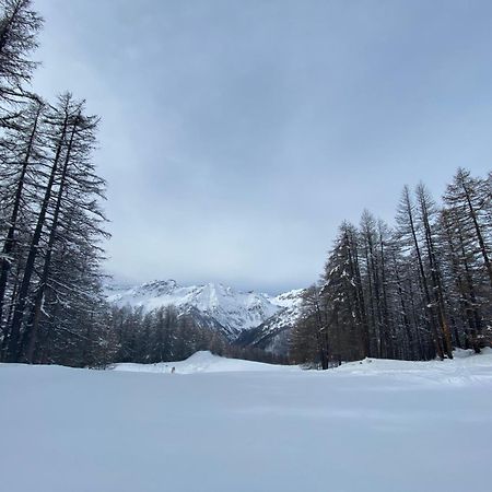 Les Granges D'Arvieux - Queyras - Appart 3Ch./6P. Экстерьер фото