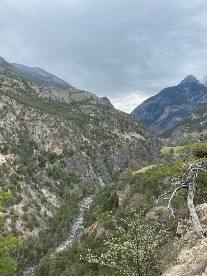 Les Granges D'Arvieux - Queyras - Appart 3Ch./6P. Экстерьер фото